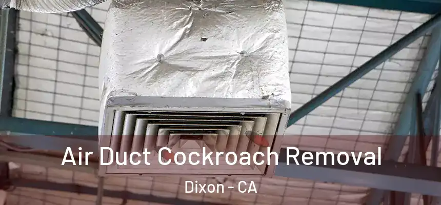 Air Duct Cockroach Removal Dixon - CA