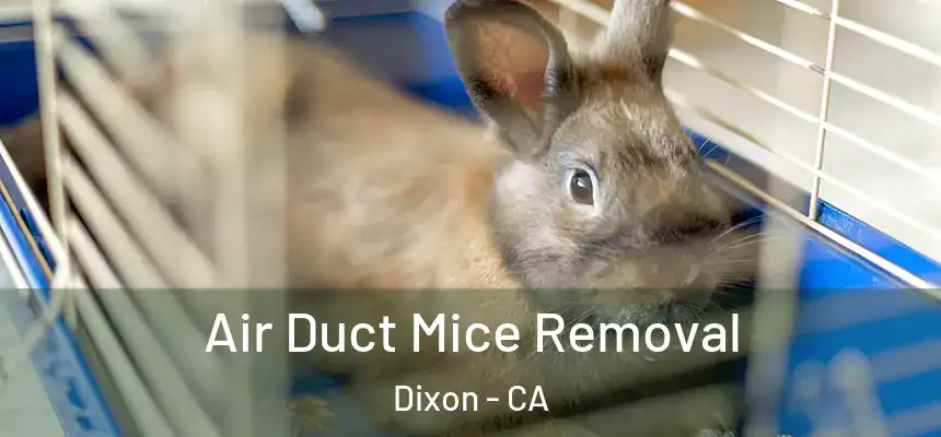  Air Duct Mice Removal Dixon - CA