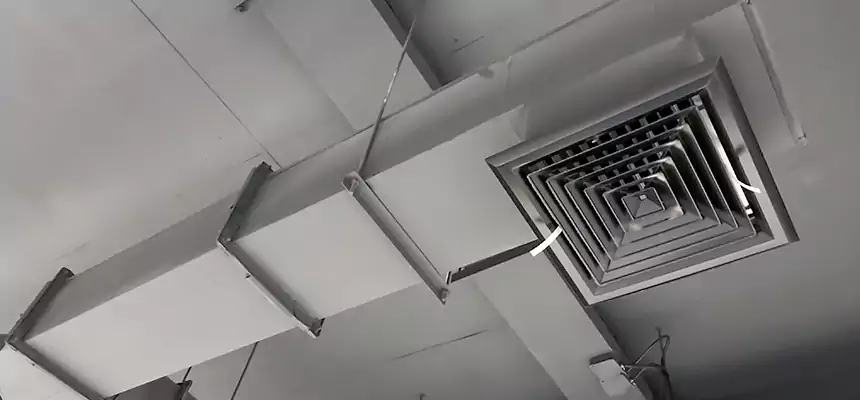 Our Rodent Droppings In Vents Services in Dixon, CA