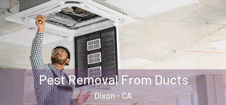 Pest Removal From Ducts Dixon - CA
