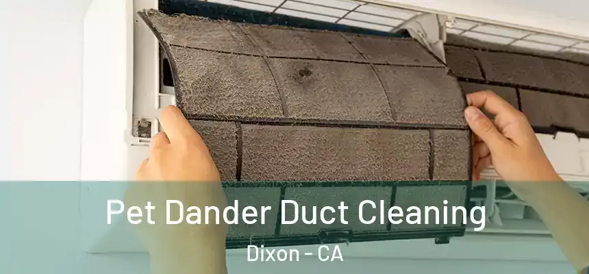 Pet Dander Duct Cleaning Dixon - CA