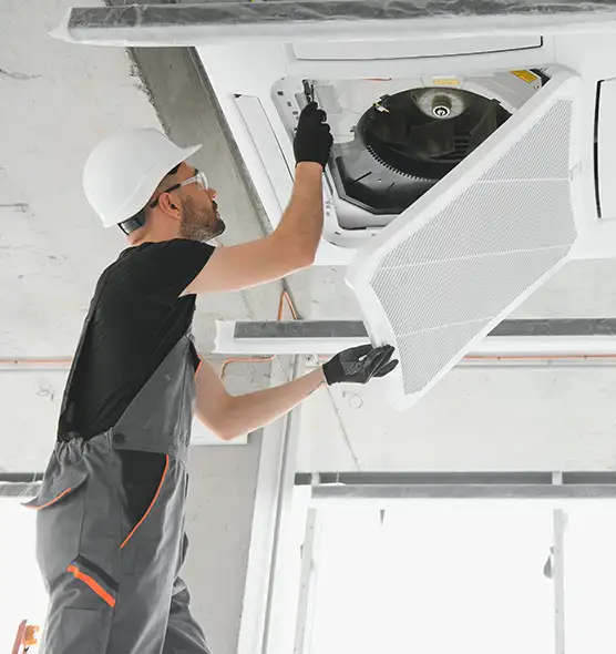 About Air Duct Rodent Removal in Dixon, CA