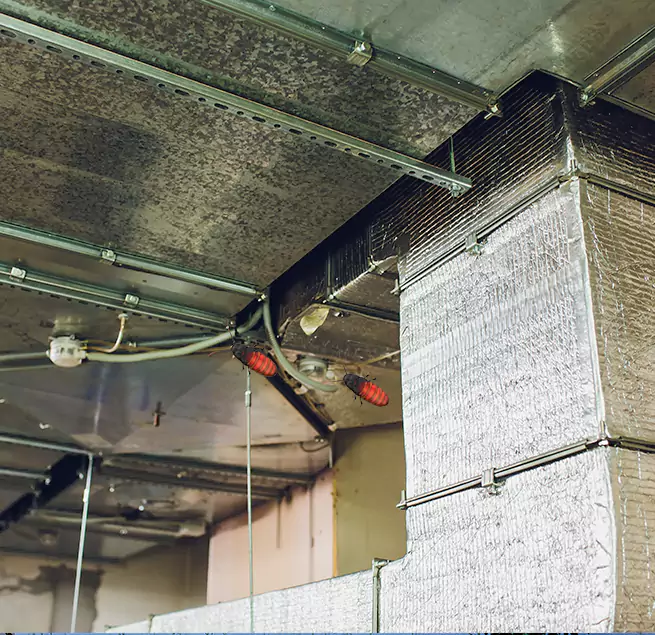 Why Homeowners & Businesses Trust Us in Dixon, CA?