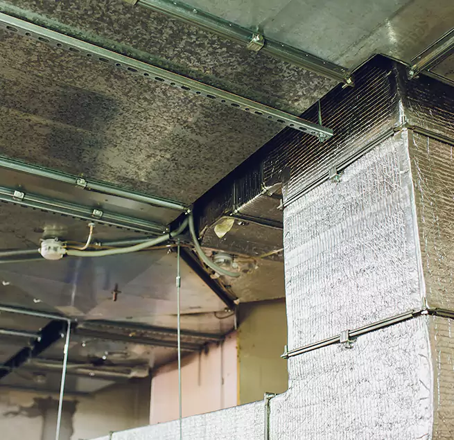 Why Homeowners & Businesses Trust Us in Dixon, CA?