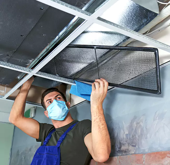 Why Homeowners Businesses Trust Us in Dixon, CA?